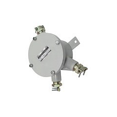 Беркут-Ех-Транзит