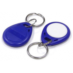 Брелок RFID (Em-Marine)