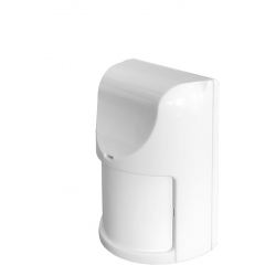 Рапид-10 вар.2