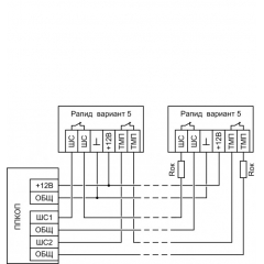 Рапид, вариант 5
