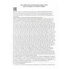 РД 200 МАТРЁШКА