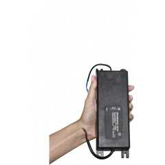 Моллюск 12/10 (Распродажа. На складе 2 шт.)