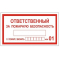 Плёнка 100х200 Ответственный за пожарную безопасность (Распродажа. На складе 5 шт.)