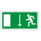 Плёнка (Е 10)  Указатель двери эвакуационномого выхода левосторонний