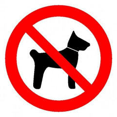 Пластик (Р-14)  Запрещается вход (проход) с животными