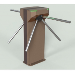 Ростов-Дон Т-273М1