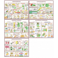 Безопасность труда при деревообработке (А2, 5л)