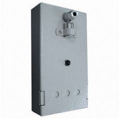 Пульсар 1-010 С