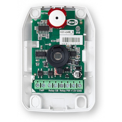 Астра-621 исп. Р