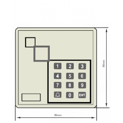 SR-R121K (бежевый)