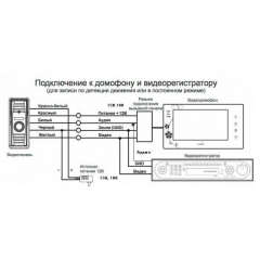 CTV-D10NG (Br) бронза