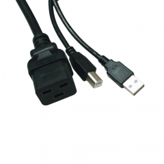 UPS-220/3000VA