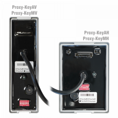 Proxy-KeyAV