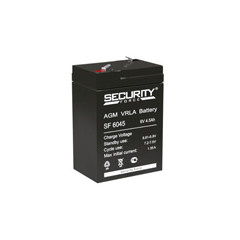 Аккумулятор SF 6045 Security Force