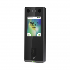 SenseFace 3B [MF]