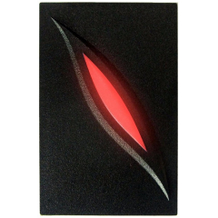 KR101M