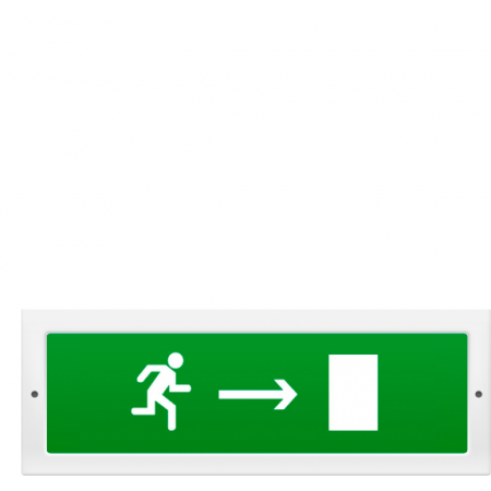 Молния-220 РИП ГРАНД  Человек вправо в дверь  (Распродажа. На складе 1 шт.)