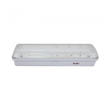 Светильник 04-30/1
