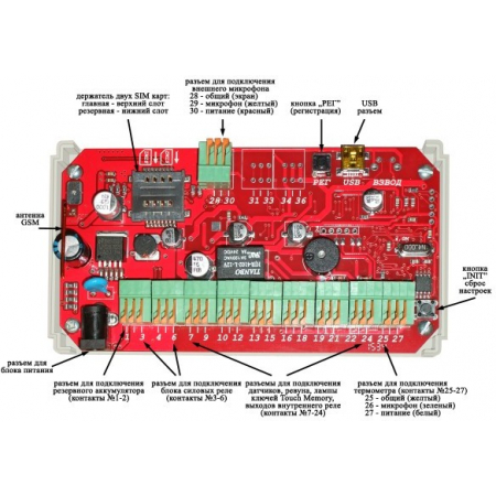 ЭРИТЕЯ МИКРА 3