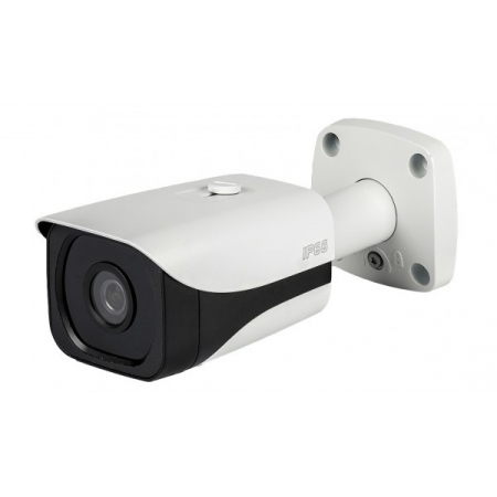 RVi-IPC43DNS (6 мм)