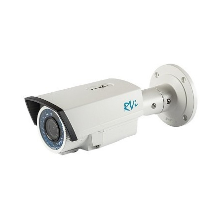 RVi-IPC42L (2.8-12 мм) (Распродажа. На складе 1 шт.)