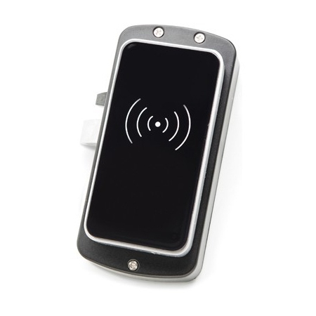 Z-495 EHT серебро