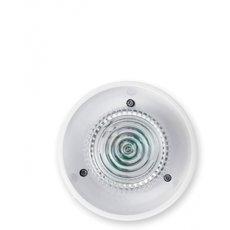 Астра-Прайм-2951