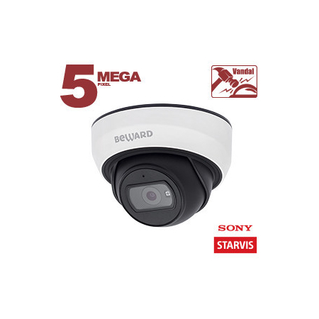 SV3210DBS (3.6 мм)