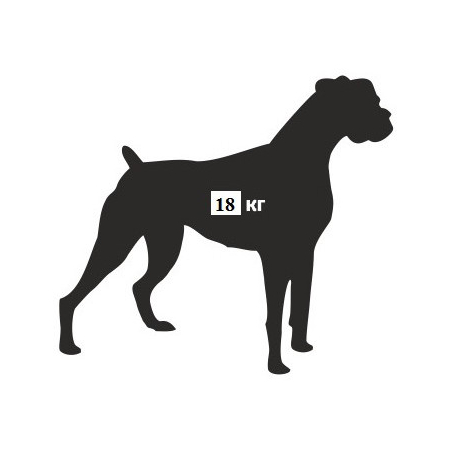 476 PET (Распродажа. На складе 1 шт.)