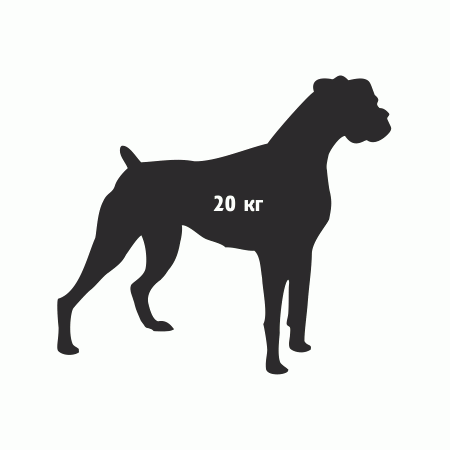 РЕЛЬЕФ(-60 +85С)