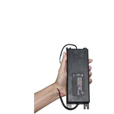 Моллюск 12/10 (Распродажа. На складе 2 шт.)