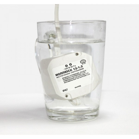 Моллюск-12/1,5