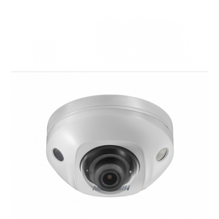 DS-2CD2543G0-IS (2.8mm)