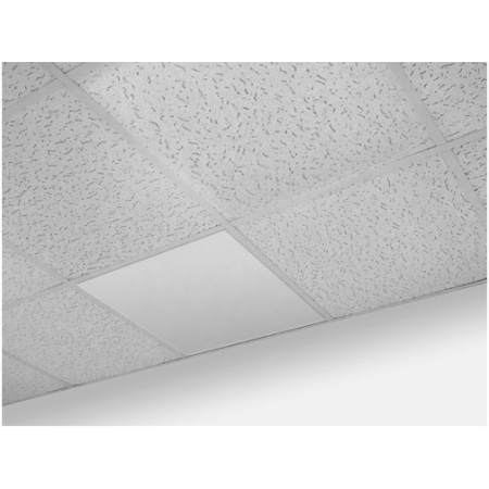 Толмач-П-Армстронг Р-R-2